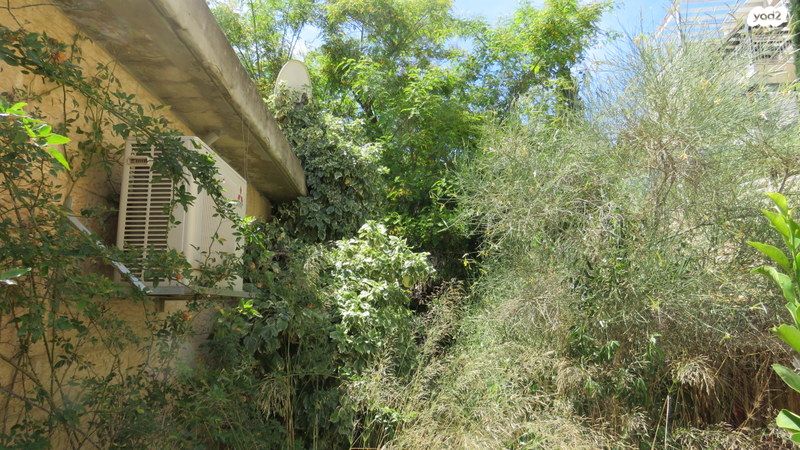 בית פרטי/ קוטג', רמות, ירושלים