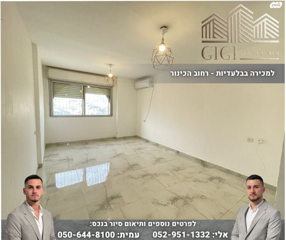 הכינור 