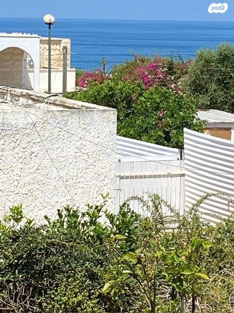 צוקי ים