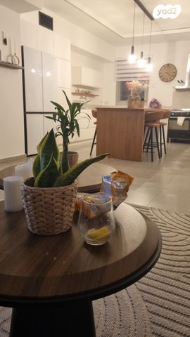 דירה, שרונה, כפר יונה