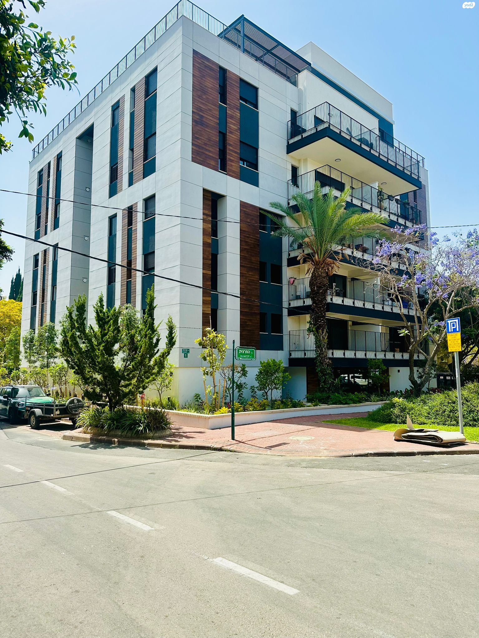 החרצית 