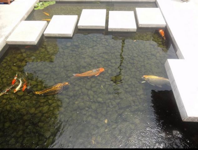 בית פרטי/ קוטג', הרצליה פיתוח, הרצליה