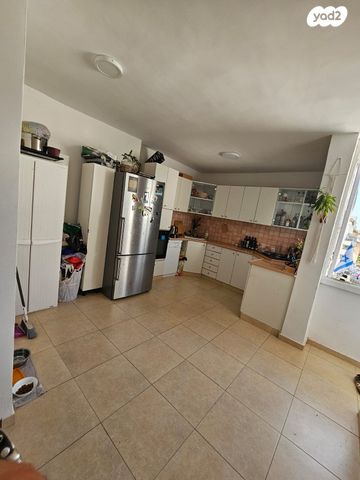 דירה, דוד וולפסון, רמז, מערב ותיק, ראשון לציון