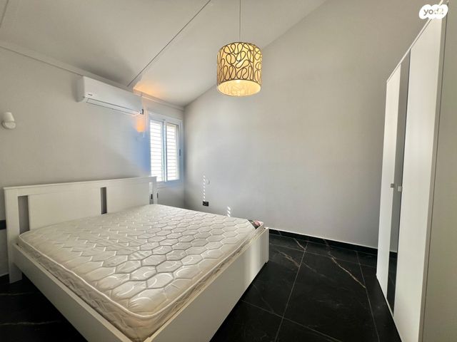 דו משפחתי, פטרה, ממשית, דימונה