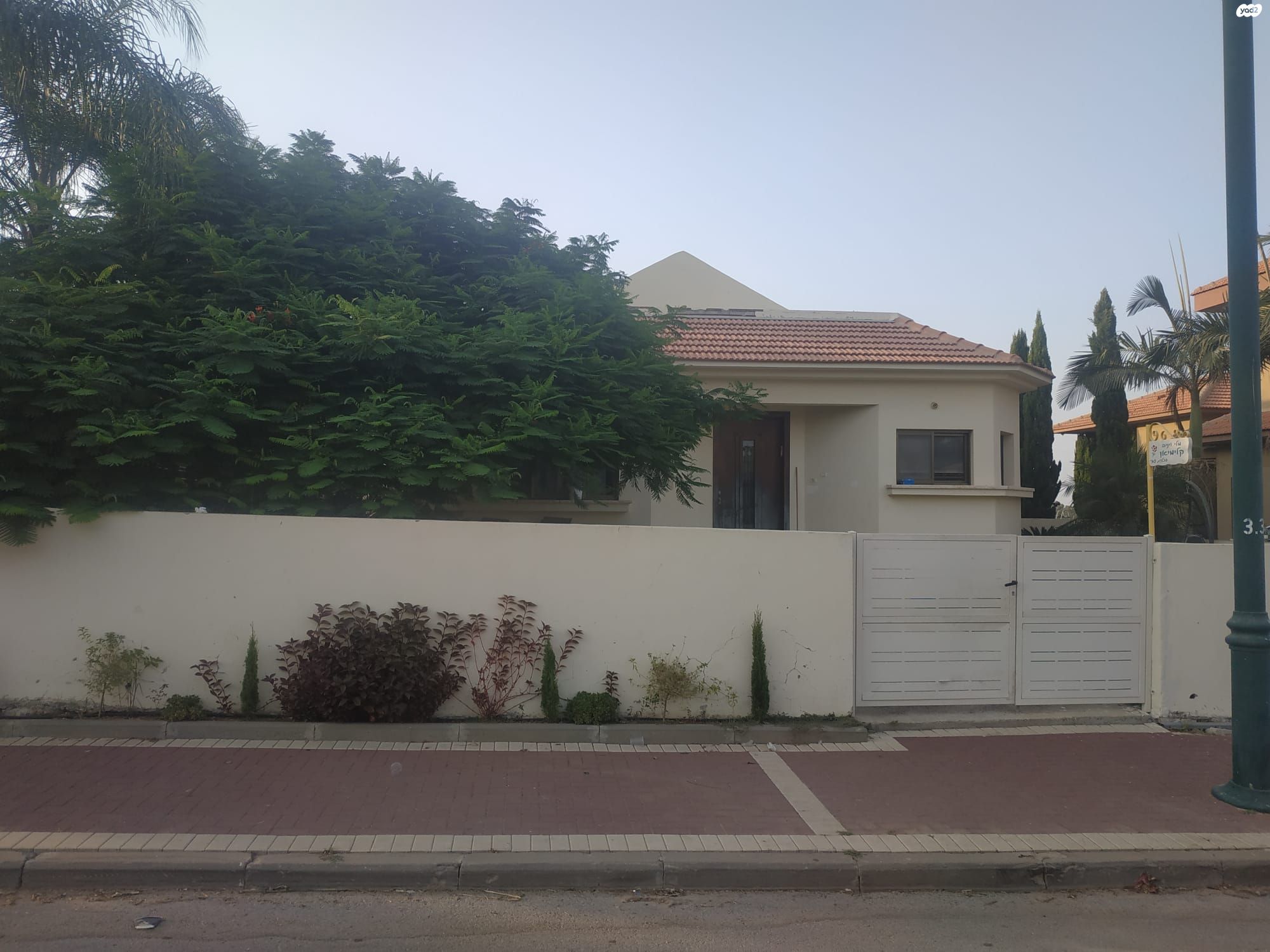 הכלנית 30