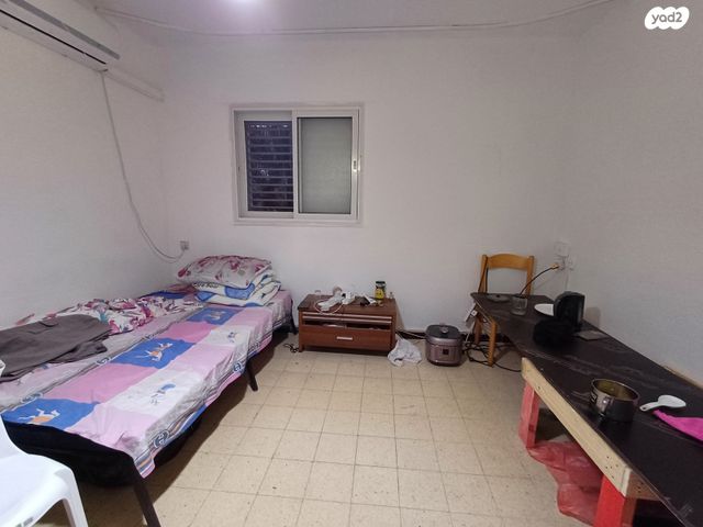 שבטי ישראל 29