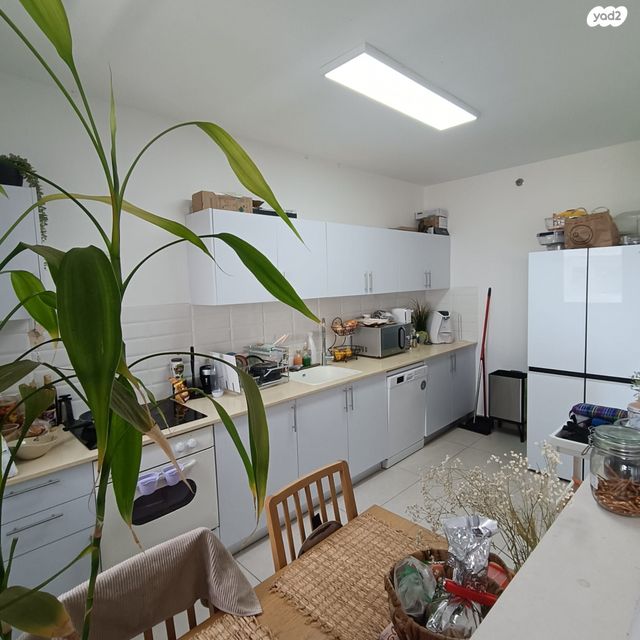 דירה, אשכולית, נווה פרדסים, פרדס חנה כרכור