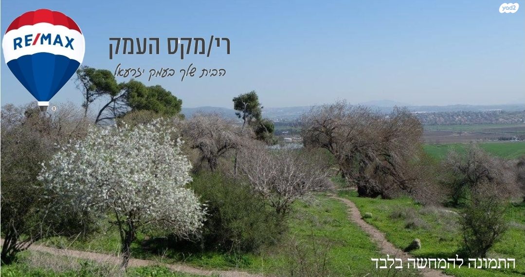 מגרשים