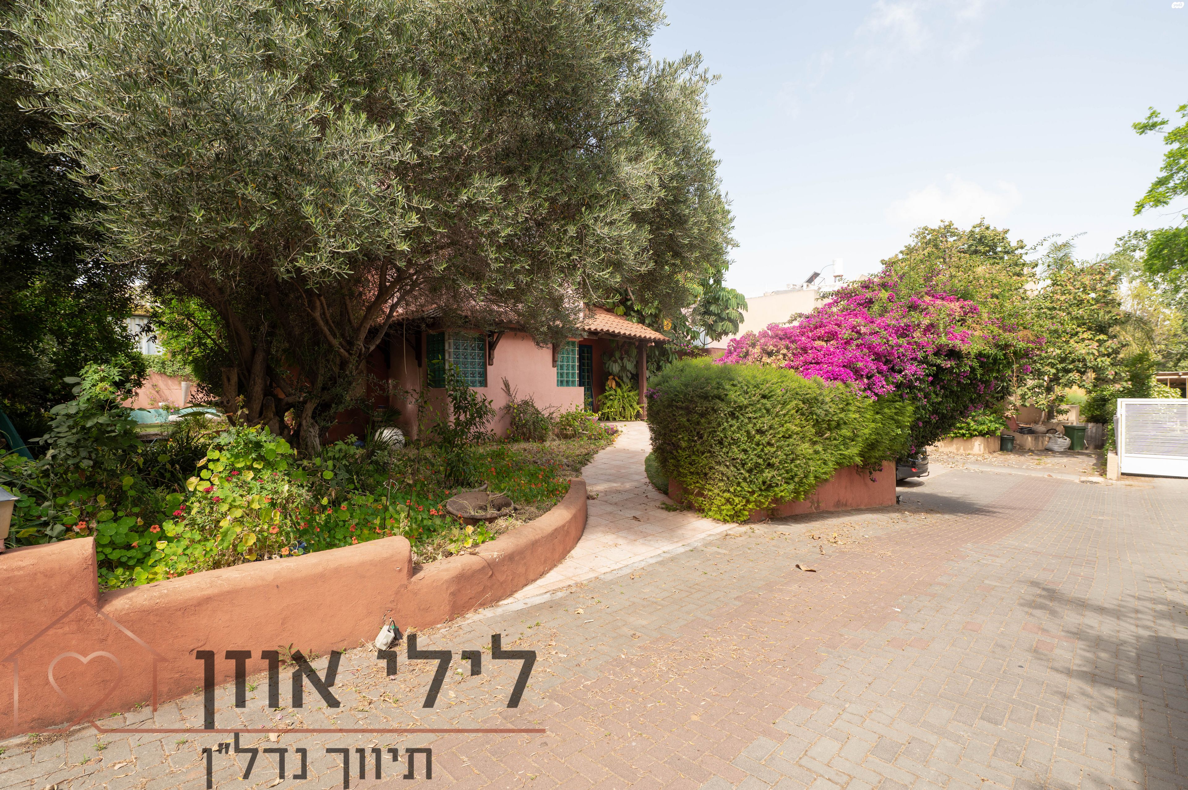 איילת השחר 