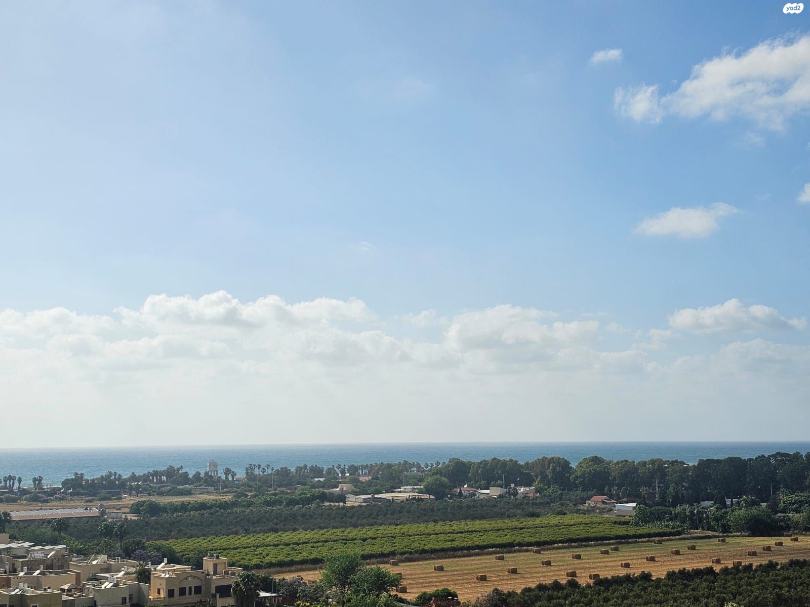 עוזי חיטמן 