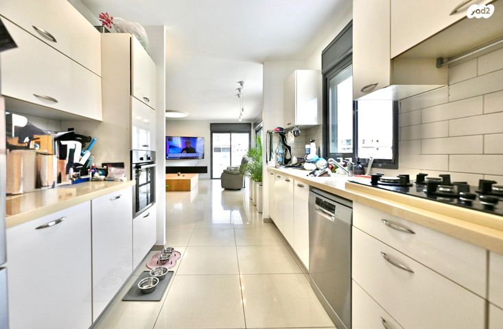 גג/ פנטהאוז, חושן, וילה דורי, שכונת הדגל, נס ציונה