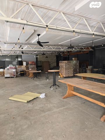 אולמות, רינתיה