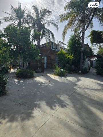 אולמות, רינתיה