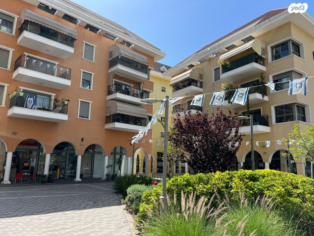 זאב וינהויז 7