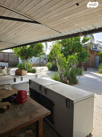 אולמות, רינתיה