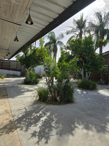 אולמות, רינתיה