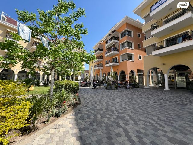 זאב וינהויז 7