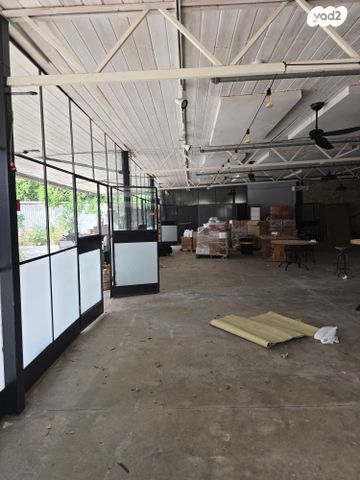 אולמות, רינתיה