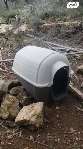 תמונת מודעה - חיות מחמד