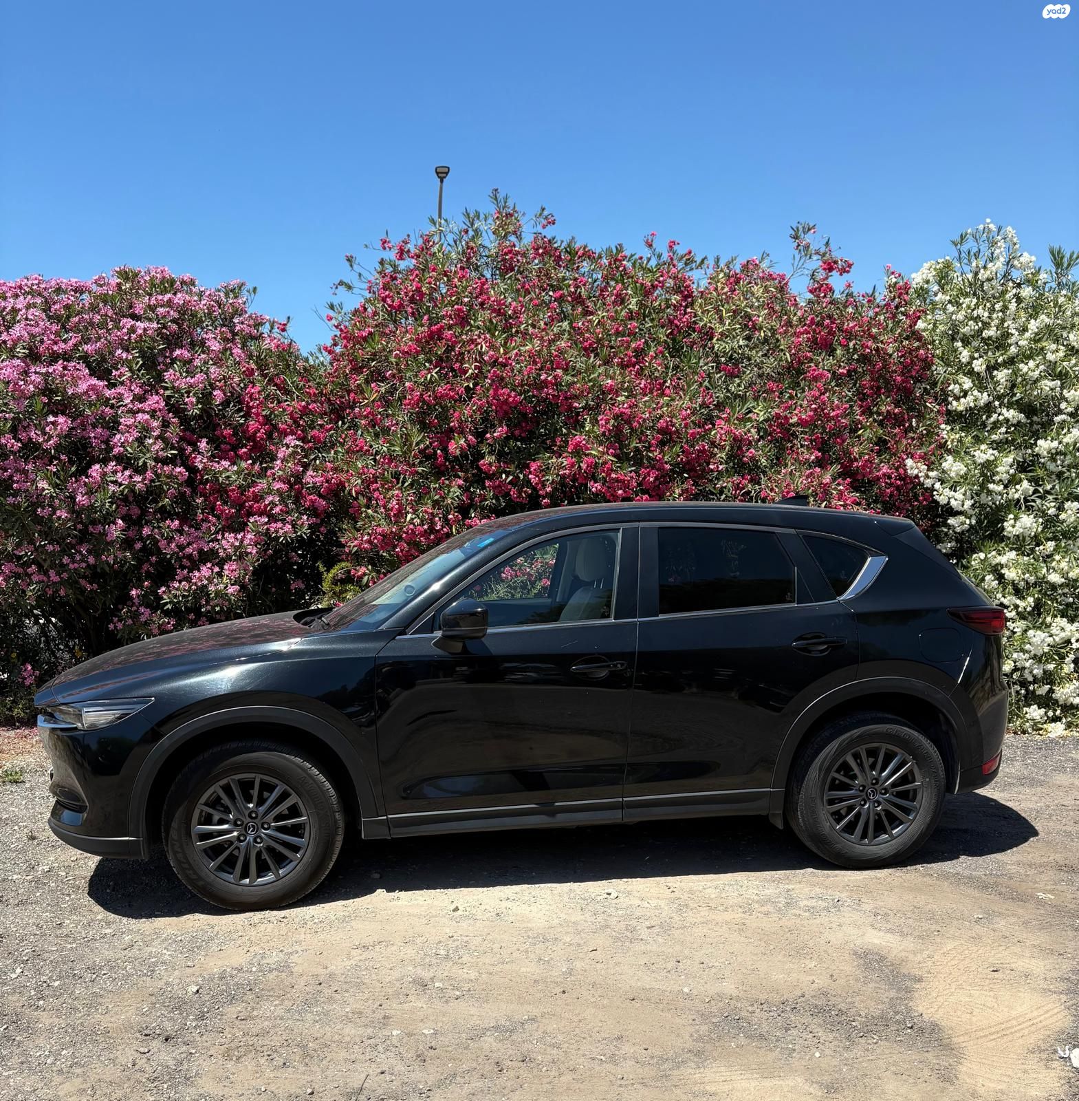 מודעת רכב מאזדה CX-5