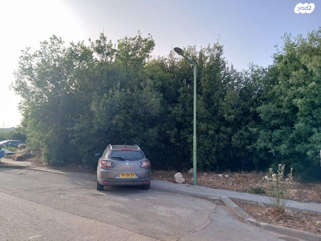 צבעון 1