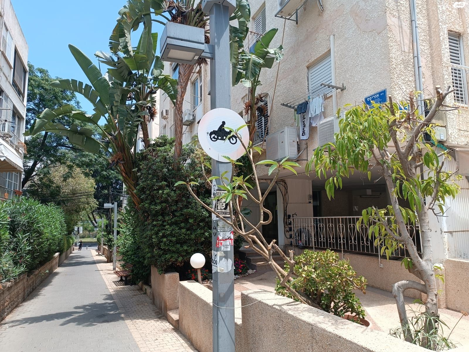 שמעון התרסי 25