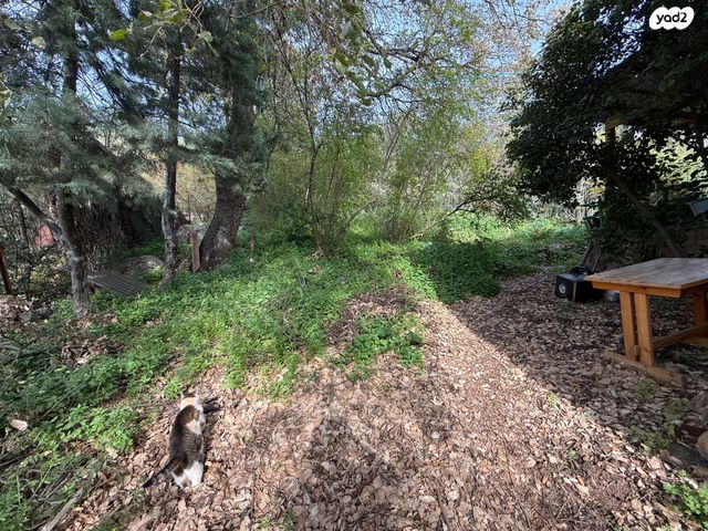 משק חקלאי/ נחלה, אמירים, אמירים