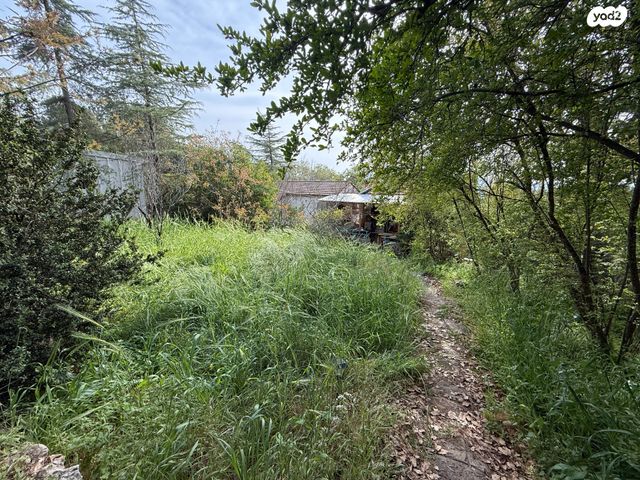 משק חקלאי/ נחלה, אמירים, אמירים