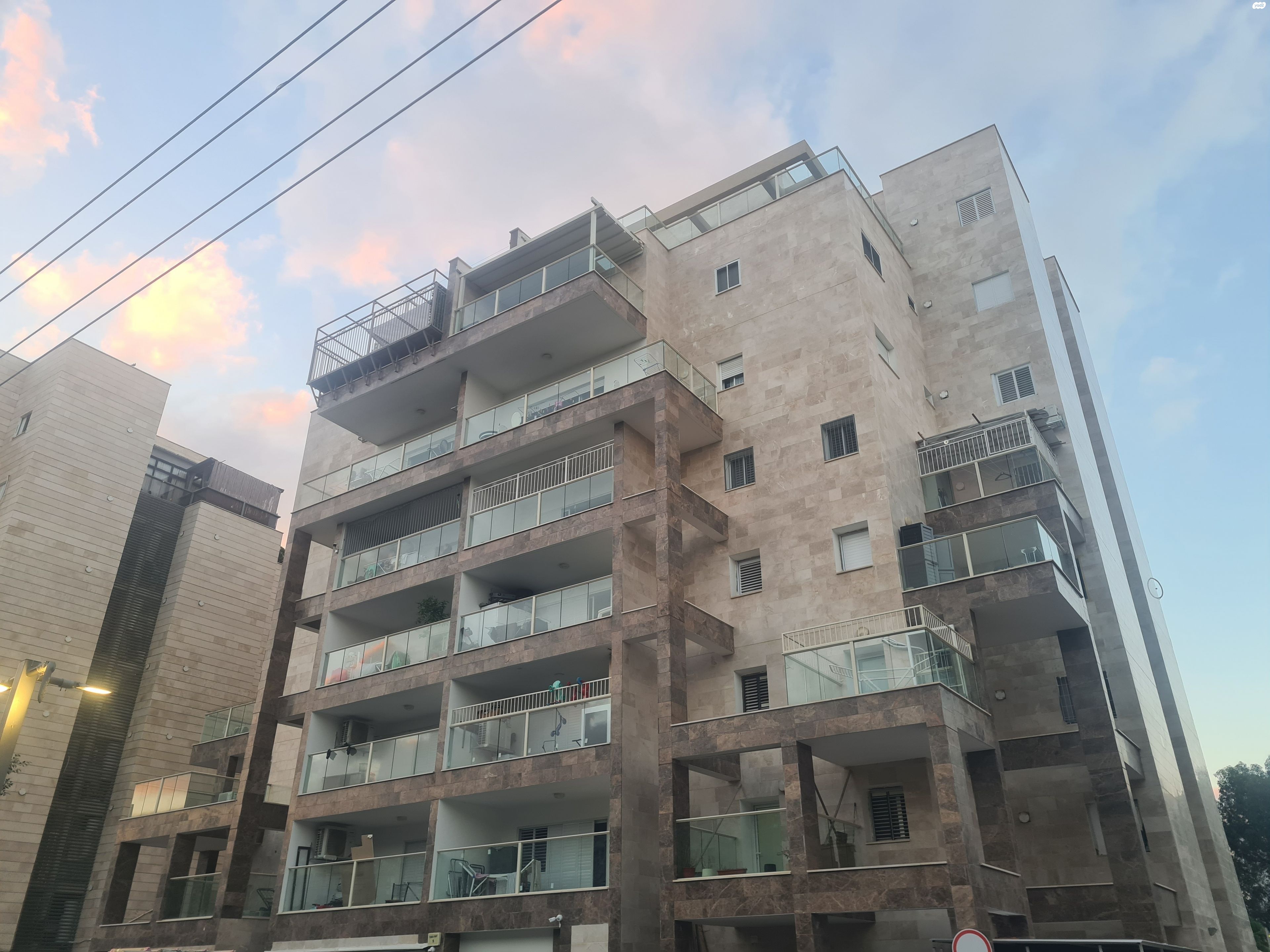 יהודה המכבי 