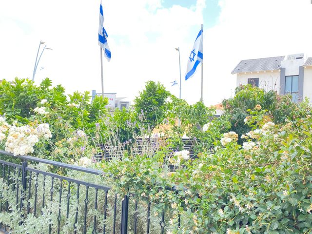 דירת גן, מירון, פרדסיה