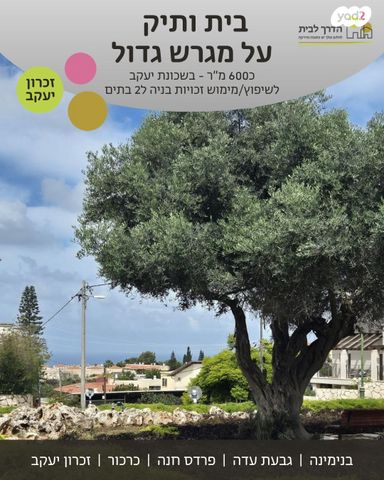 בית פרטי/ קוטג'