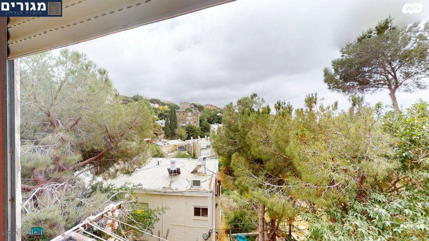 דירה, אידר, חיפה