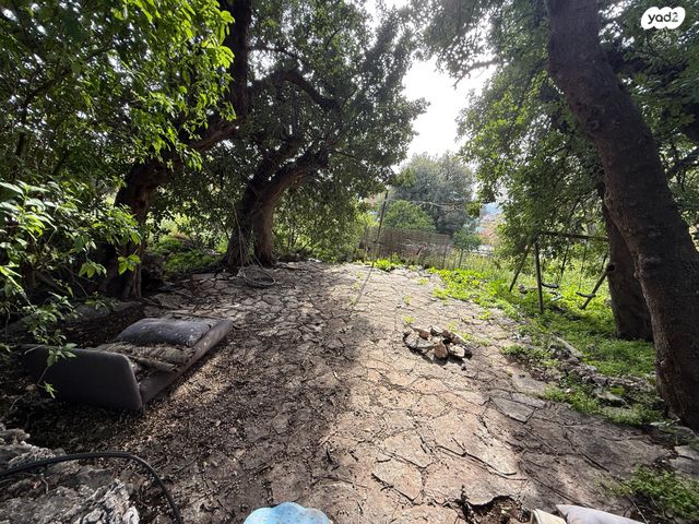 משק חקלאי/ נחלה, אמירים, אמירים