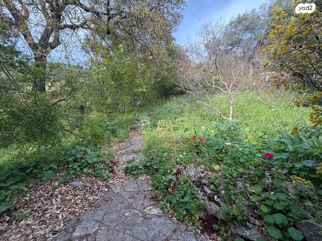 משק חקלאי/ נחלה, אמירים, אמירים