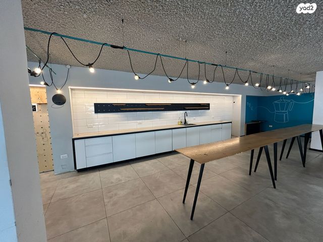 מנורת המאור 