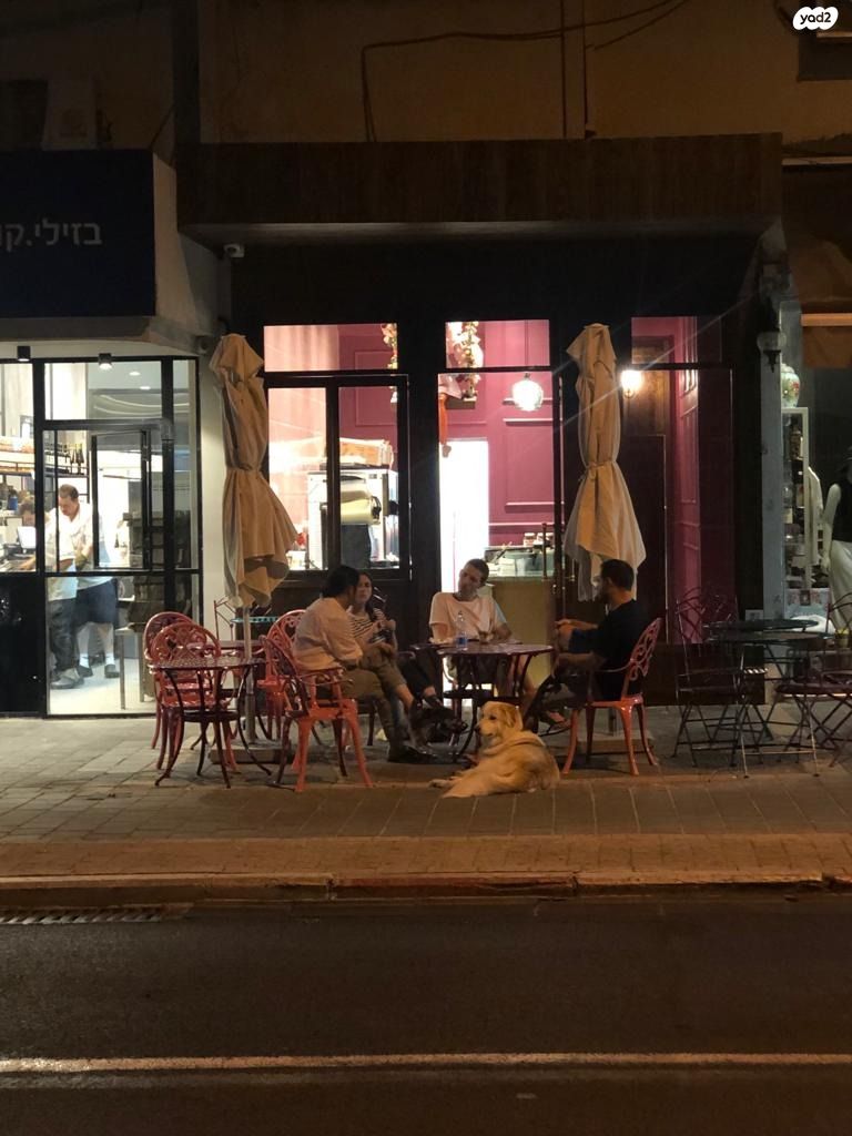 יהודה המכבי 