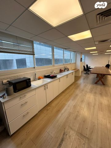 מנורת המאור 