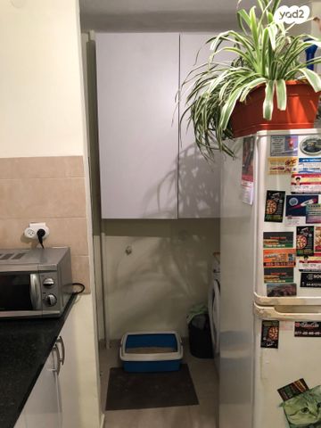 דירה, גיבורי סיני, עכו