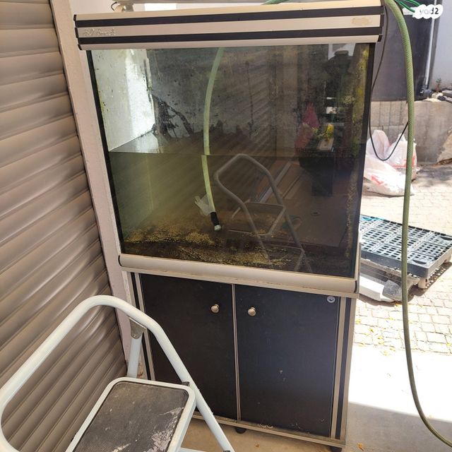 תמונת מודעה - חיות מחמד