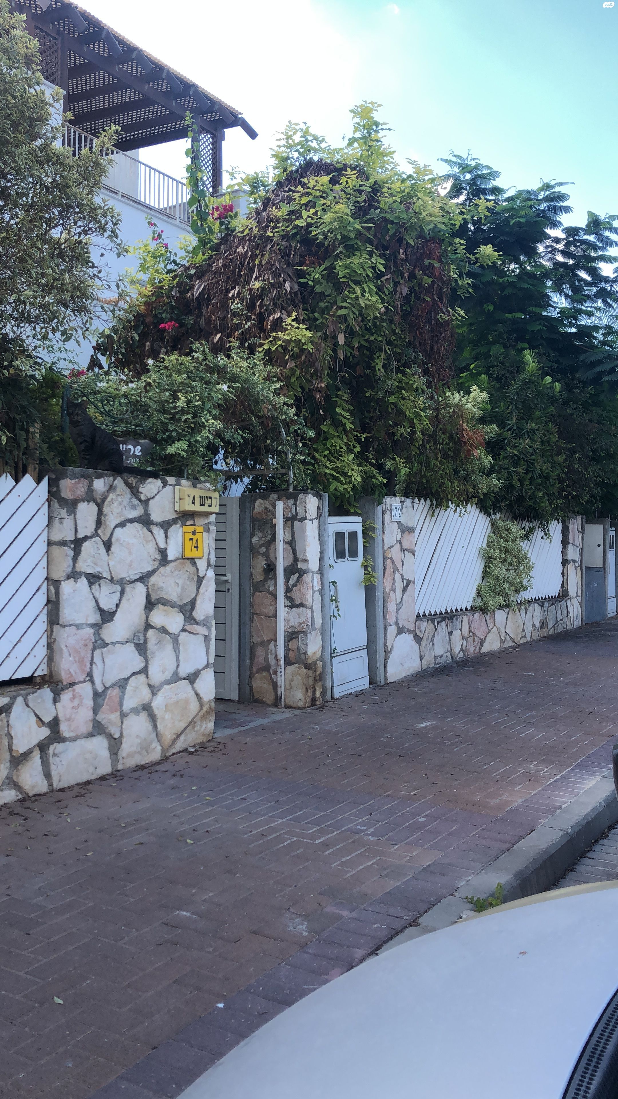 לכיש 72