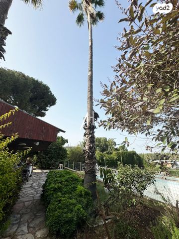 בית פרטי/ קוטג', סביון