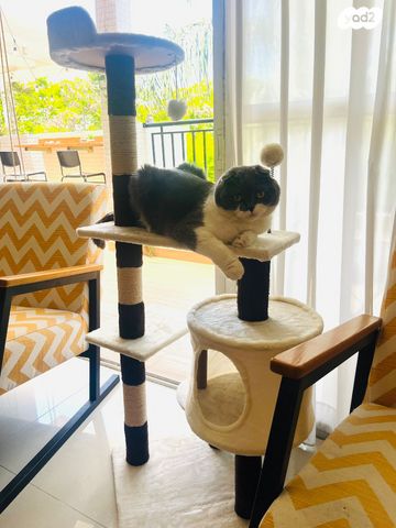 אביזרים | משחקים וצעצועים