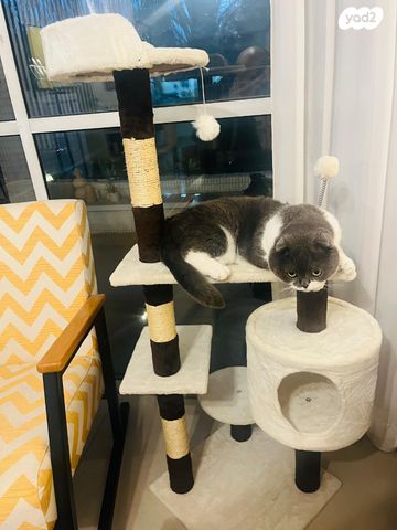 אביזרים | משחקים וצעצועים