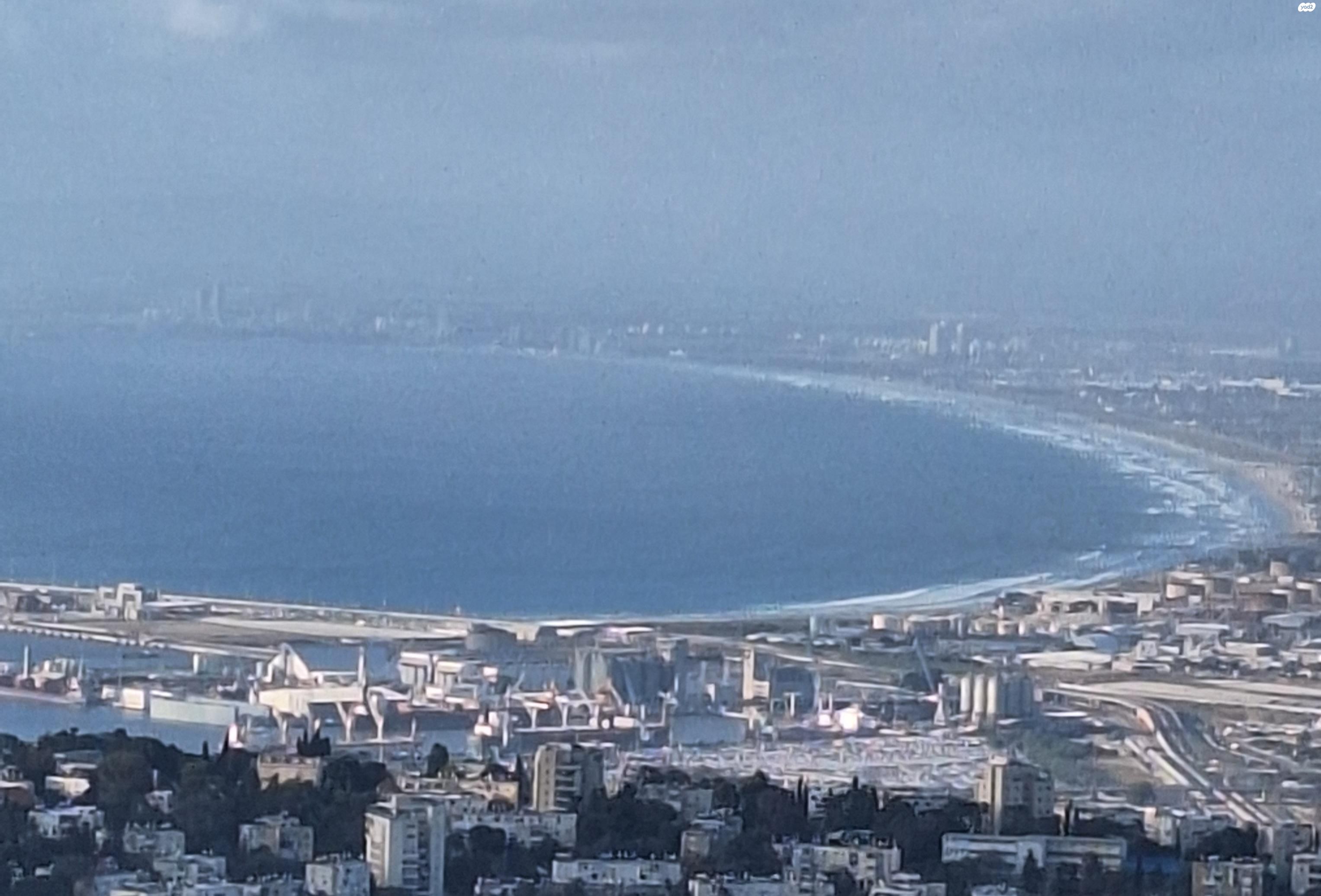 זאב בנין 13