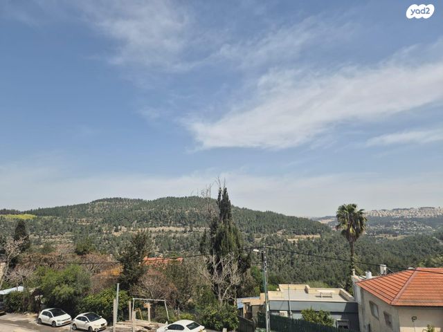 יהלום 15