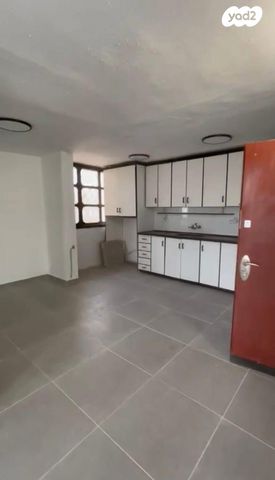 יצחק בן צבי 
