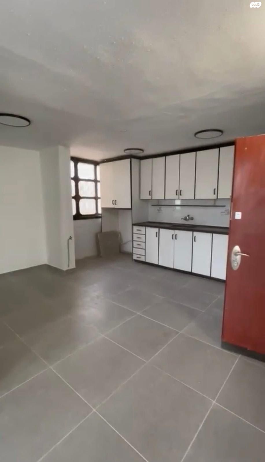 יצחק בן צבי 