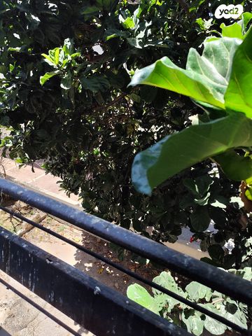 דירה, ש. בן ציון 3, ב' / צפון מערב העיר, רחובות