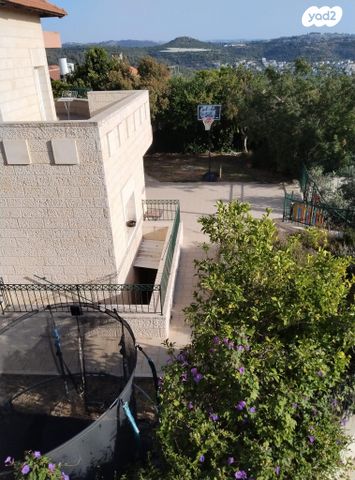 האלון 223
