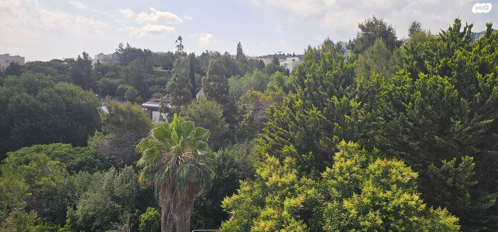 גג/ פנטהאוז, רמת אלון, חיפה